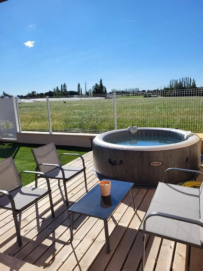Pissenlit Une Prairie En Provence Arles 0*,