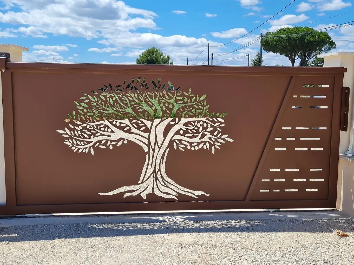 Pissenlit Une Prairie En Provence Arles